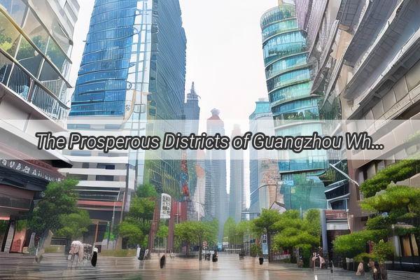 The Prosperous Districts of Guangzhou Where the Citys Wealth and Culture Converge